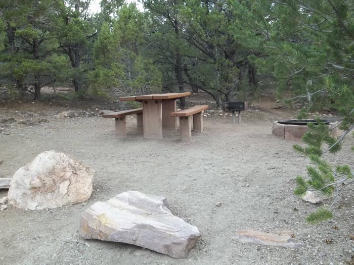 This site has picnic table, grill and a fire pit in a gravel area surrounded by trees.Cedar Springs Campground: Site 2