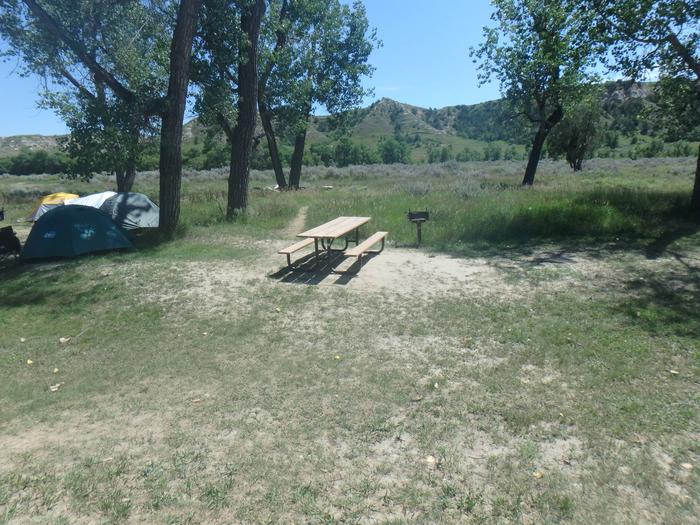 Site 65 walk to site, the tent pad is located near the picnic table and grill.  Site 65 .
