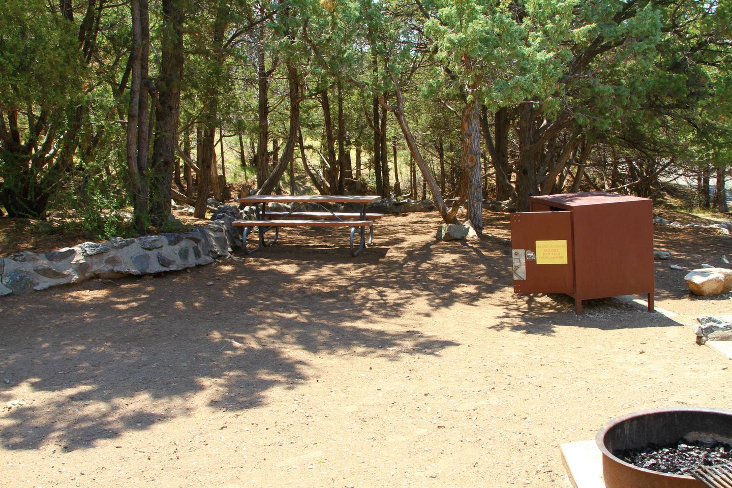 View from inside Site #80 of tent pad, bear box, fire ring, picnic table, and the very many trees that are somehow inside the site. Reminder that hammocks are not allowed in the campground.Site #80, Pinon Flats Campground