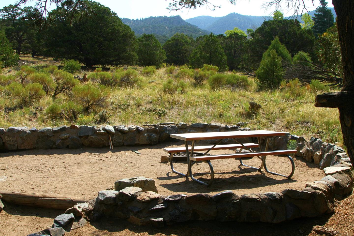 Side view of Site #60 tent pad with picnic table and fire ring. Mountains in background.Site #60, Pinon Flats Campground