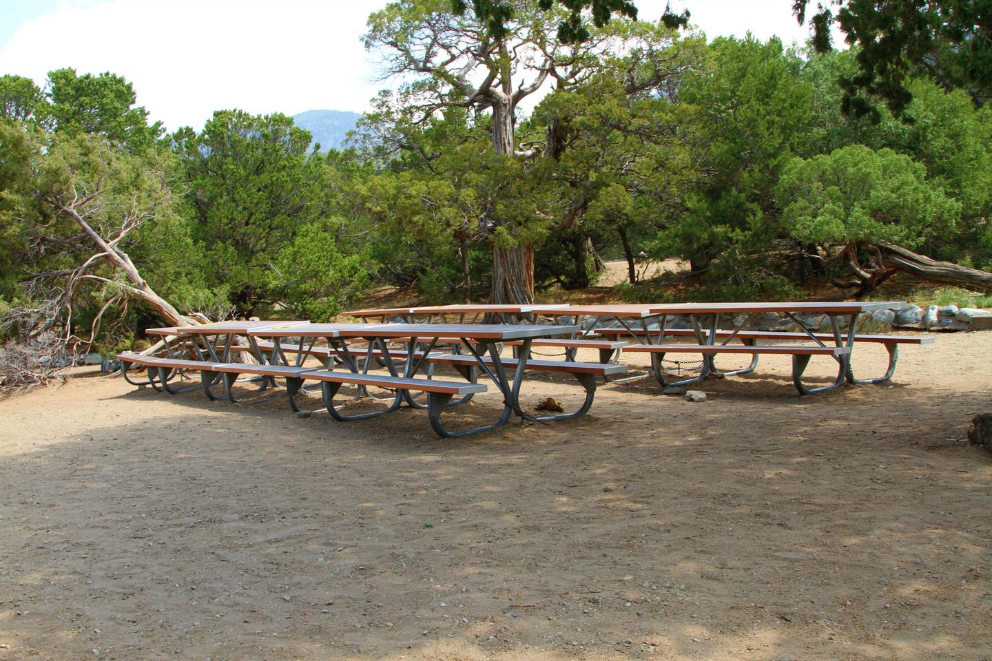 View of Group Site "A"s flotilla of picnic tables.Group Site A, Pinon Flats Campground