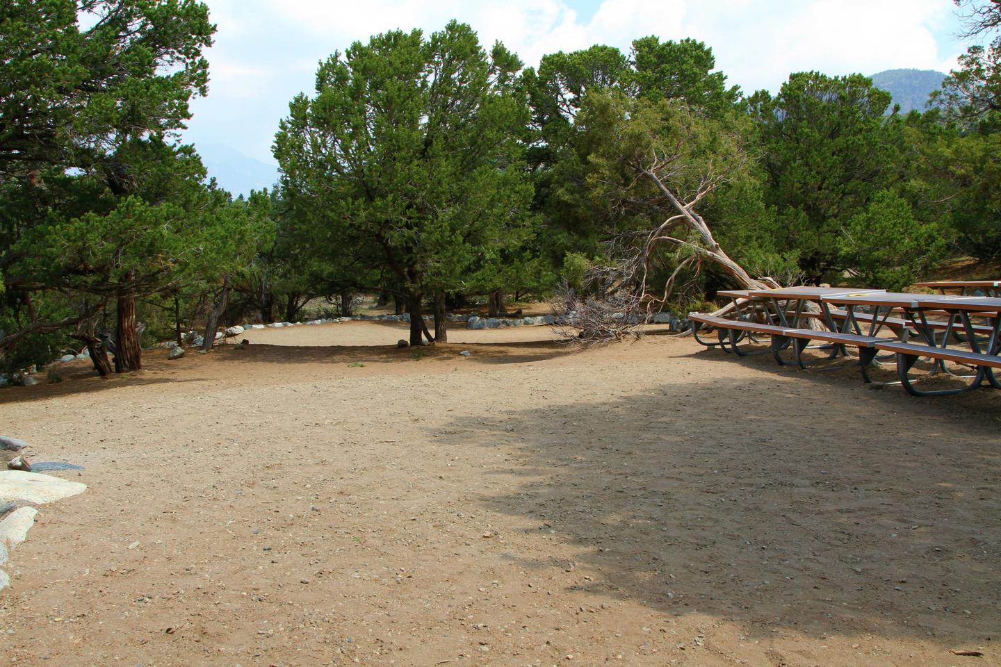 Another view from inside Group Site "A" tent area. A line of picnic tables is on the right.Group Site A, Pinon Flats Campground