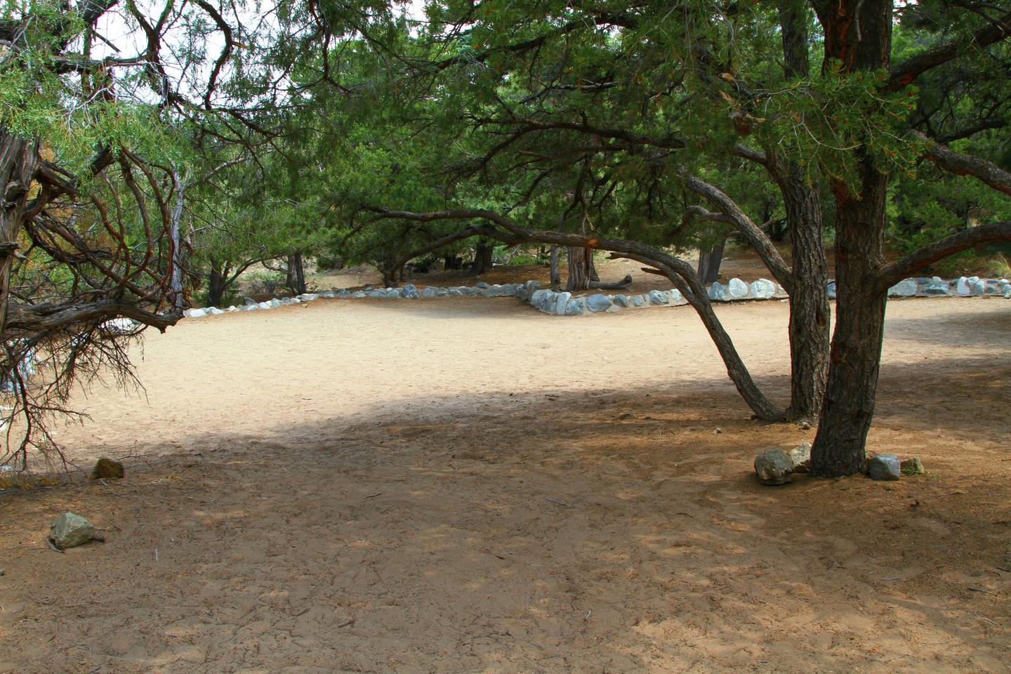 Another view Group Site "A" tent area. The tent area does have a low rock wall showing the boundary of the tent area.Group Site A, Pinon Flats Campground