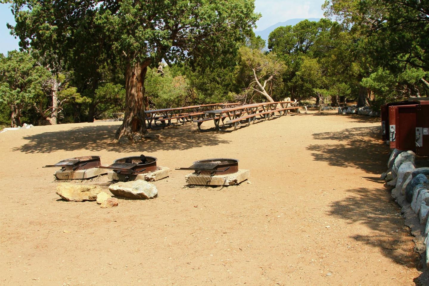 View of Group Site "A' tent area from behind the fire rings, showing the lines of picnic tables and the bear boxes on the side of the site.Group Site A, Pinon Flats Campground