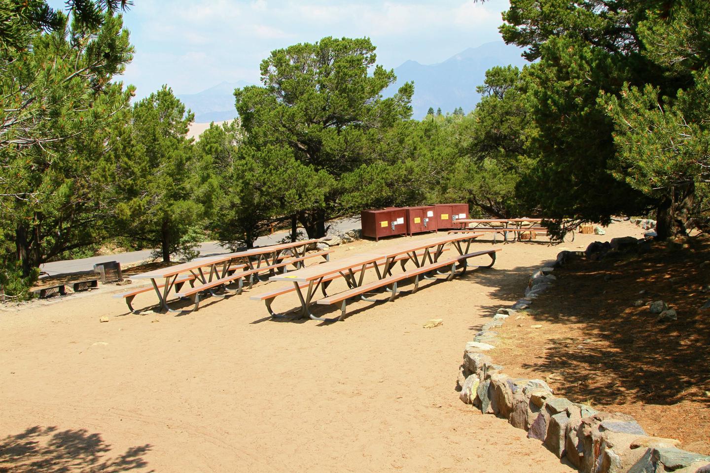 View of Group Site "B" tent area with lines of picnic tables, fire rings, and bear boxes.Group Site B, Pinon Flats Campground