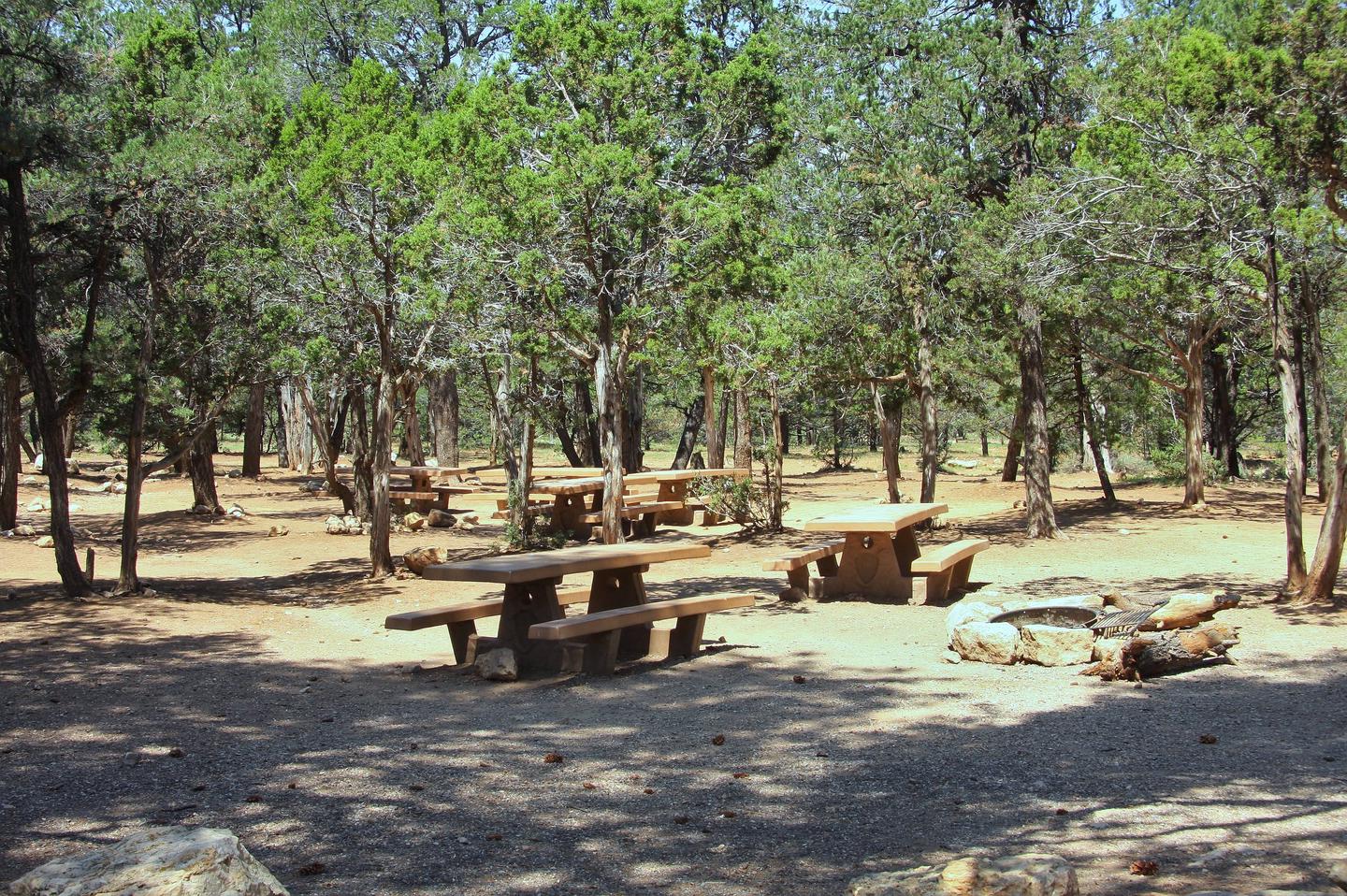 Picnic table and fire pit, Mather Campground