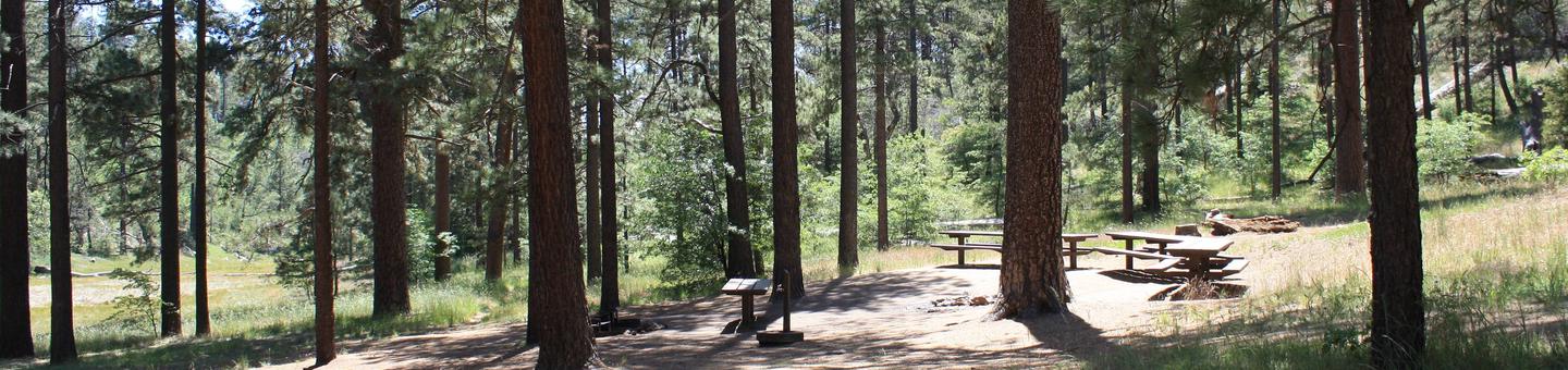 Horse Heaven Group Campground, Pine Valley, California ...