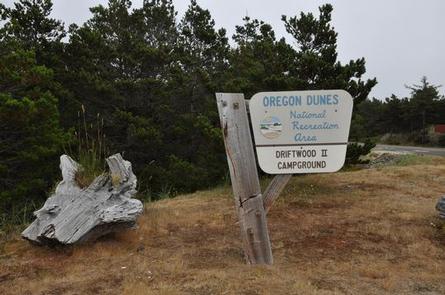 Weathered wooden sign in front of shore pine trees that says "OREGON DUNES National Recreation Area DRIFTWOOD II CAMPGROUND.DRIFTWOOD