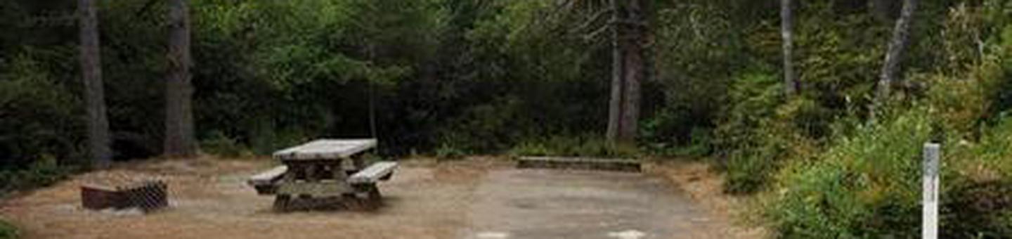 Flat campsite with campfire ring, picnic table and paved parking spur surrounded by conifer trees.WAXMYRTLE CAMPGROUND