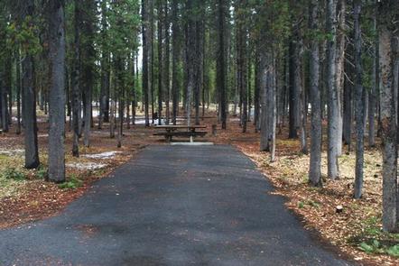 Flat paved camping spur with picnic table in shady conifer forest.BROKEN ARROW CAMPGROUND