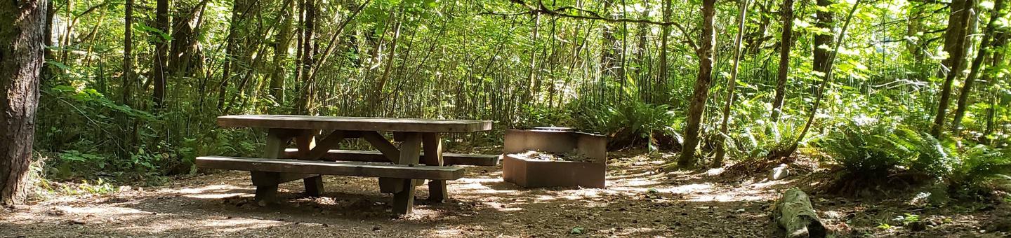 Secluded picnic Table and fire ring next to a sun dappled thicket.Horseshoe Bend Campground