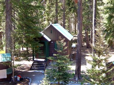 Small brown cascadian style cabin with green metal roof near outhouse and clothesline in sun dappled conifer forest.COTTONWOOD CABIN