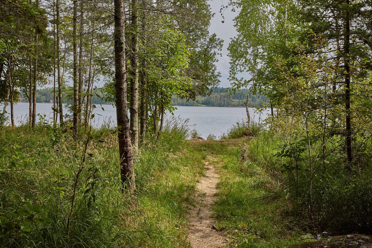 Path to Lake