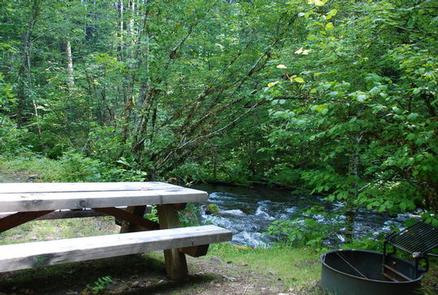 Picnic table and fire ring next to swift, shrub lined creek.Roaring River Group site.