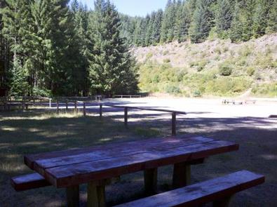 Picnic table in shade across a flat gravel road from a sunny meadow with a shrub and conifer covered backdrop.FOX CREEK GROUP CAMP