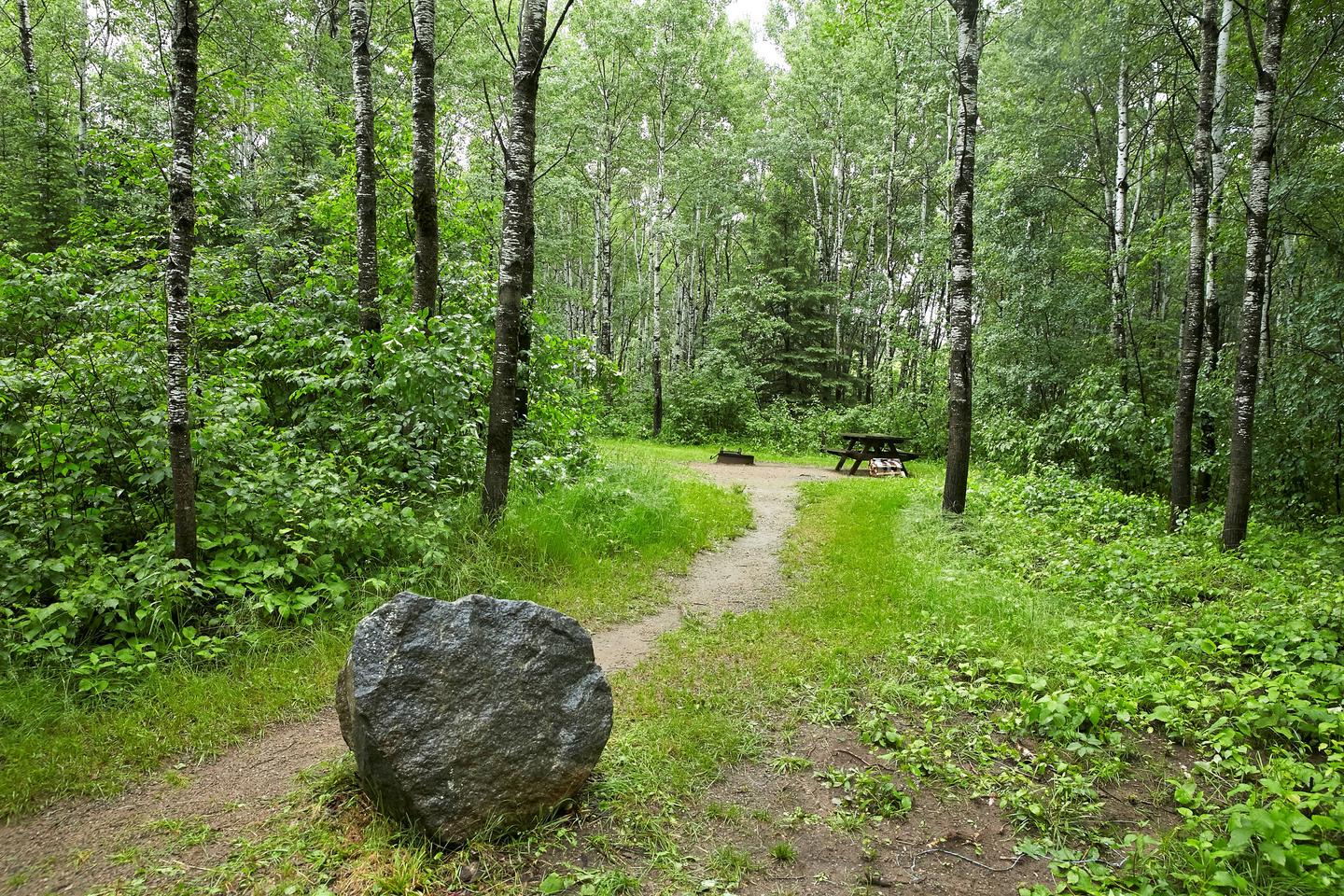 Path to camp
