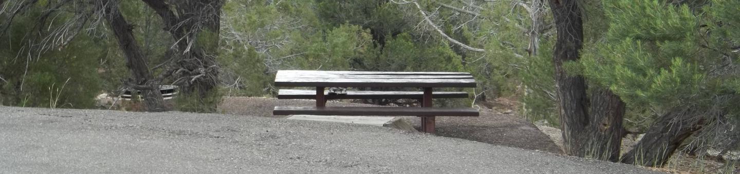 This site has a picnic table and fire pit that is found down the hill from the parking area.Cedar Springs Campground: Site 4