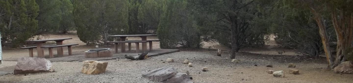 This site has two picnic tables and fire pit on asphalt .Cedar Springs Campground: Site 6