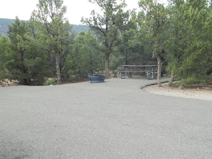This site has a picnic table and fire pit that is on asphalt to the side of the adjoining parking area.Cedar Springs Campground: Site 7