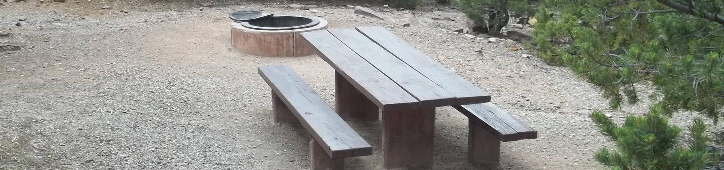 This site has a picnic table and fire pit in a gravel area with trees surrounding.Cedar Springs Campground: Site 9