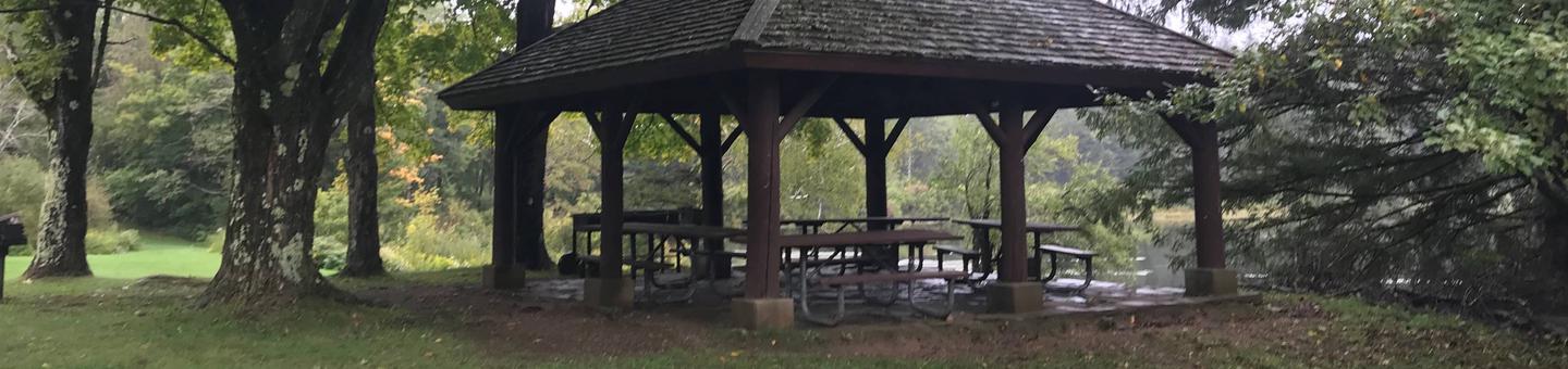 Pavilion with picnic tables in wooded areaPicnic Pavilion 1