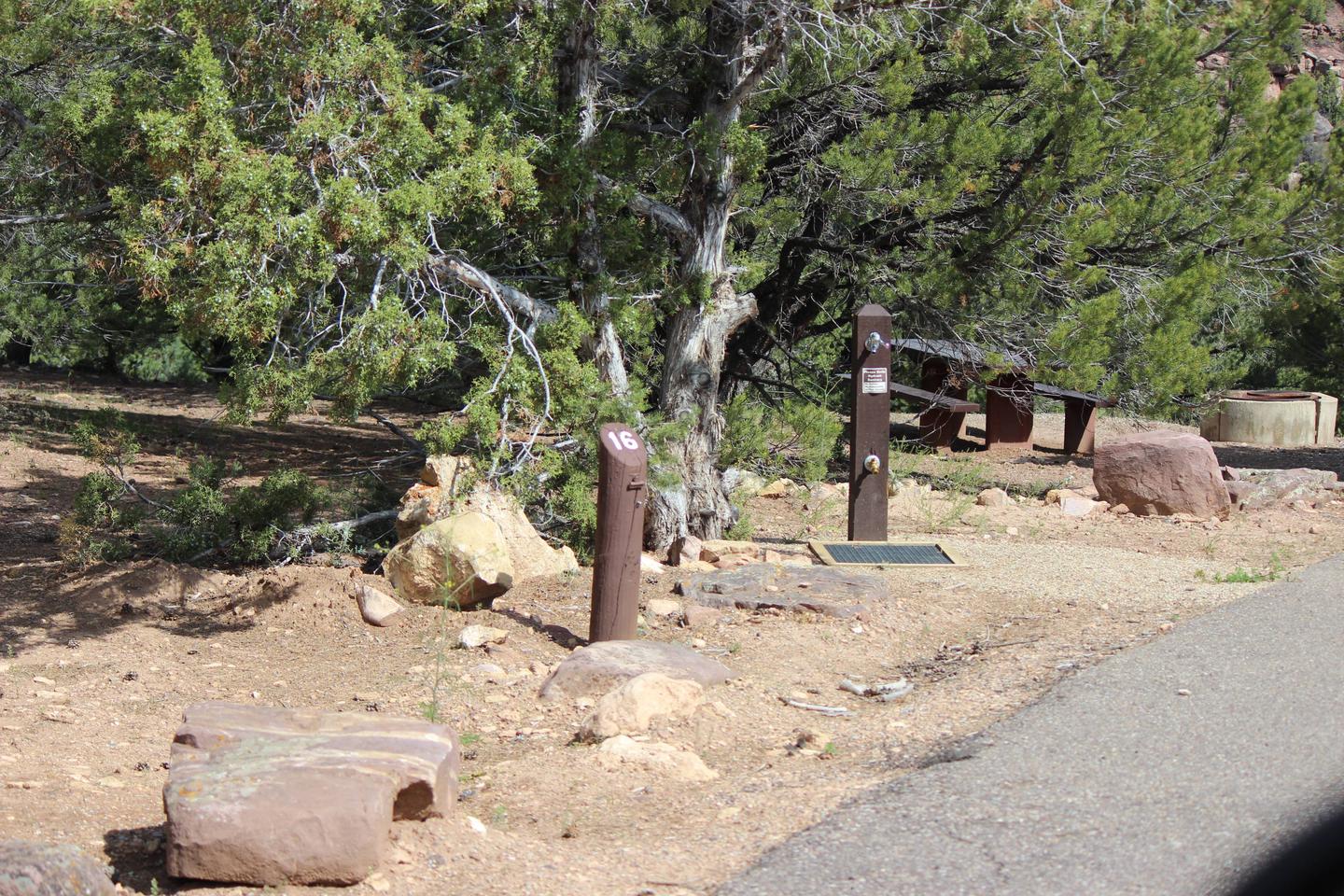Near the picnic area of in this site is a water spigot with a drain.Cedar Springs Campground: Site 16