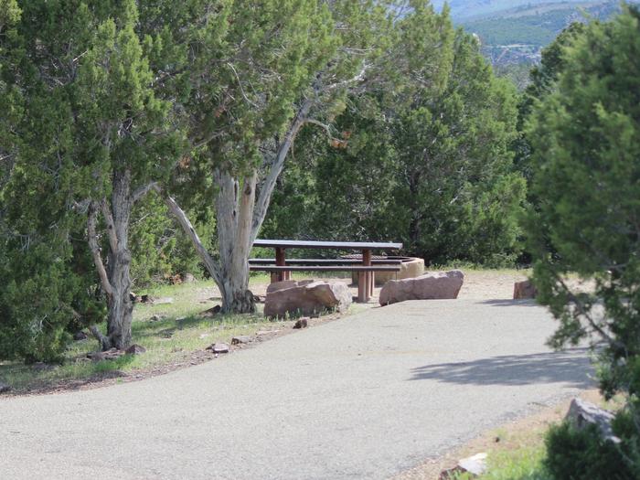 A picnic and fire pit are located in a gravel area at the end of the parking area for this site. Cedar Springs Campground: Site 17