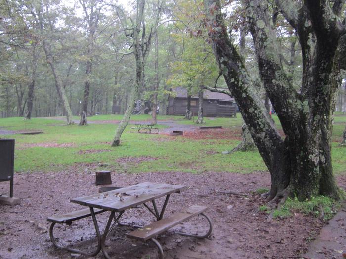 Reserve-able campsite E176