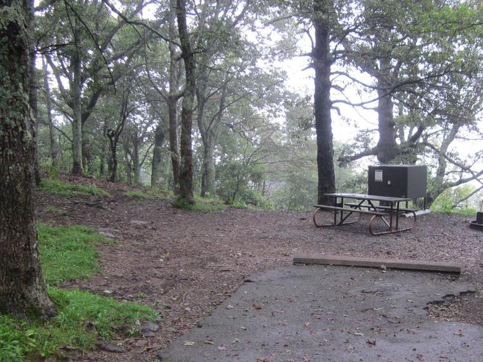 Campsite E183Site has a driveway, tent pad, picnic table, fire pit, and food storage box. 