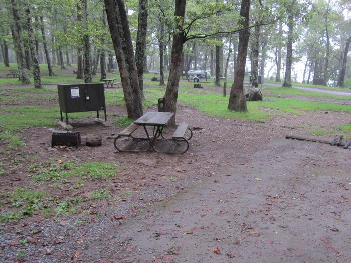Campsite I230Site has a driveway, tent pad, picnic table, fire pit, and food storage box. 