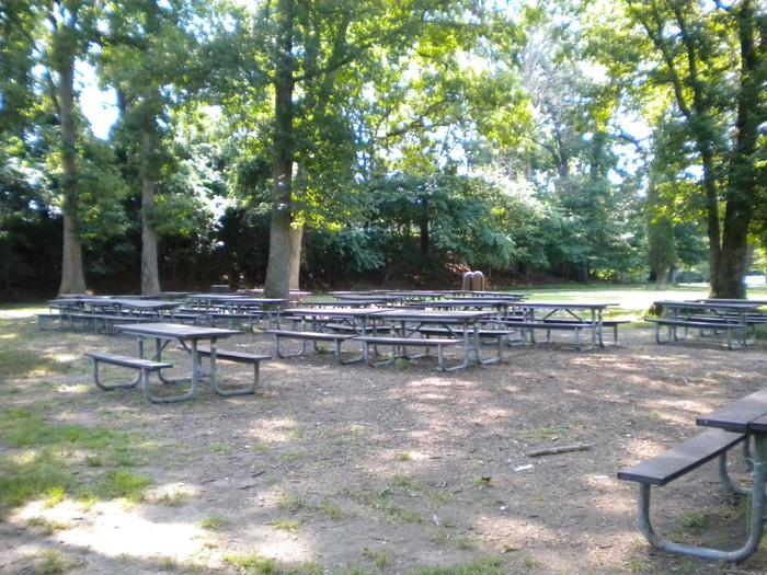 Picnic tables placed amongst the trees of Picnic Area B1Picnic Area B1