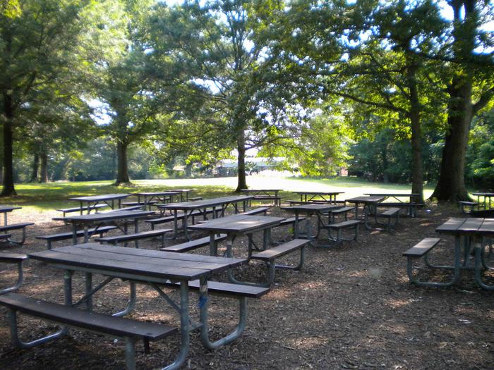 Picnic tables in Area B4.  There are trees surrounding the tables, creating shade.Picnic Area B4