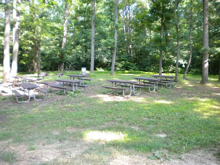 Tables in a straight line placed among the trees in Picnic Area D1Area D1 is one of the small areas