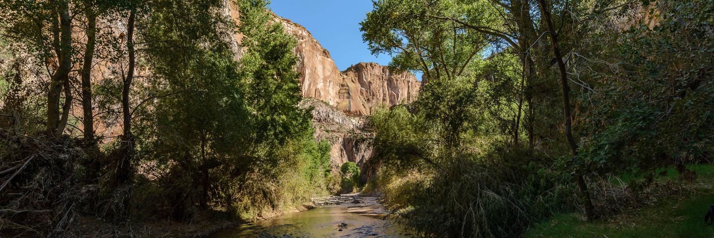 Aravaipa Canyon WildernessAravaipa Creek nurtures the canyon's lush vegetation and abundant wildlife.