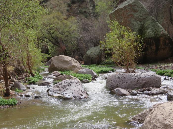 Aravaipa Creek in Aravaipa Canyon WildernessThe perennial water of Aravaipa Creek is a precious delight in the Sonoran Desert.