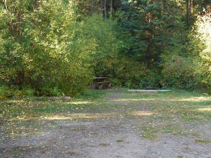 Site 15, campsite surrounded by pine trees, picnic table & fire ringSite 15