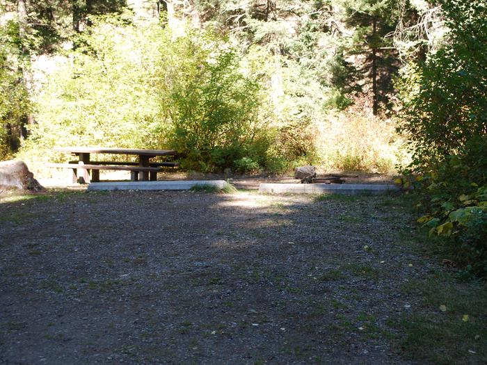 Site 17, campsite surrounded by pine trees, picnic table & fire ringSite 17