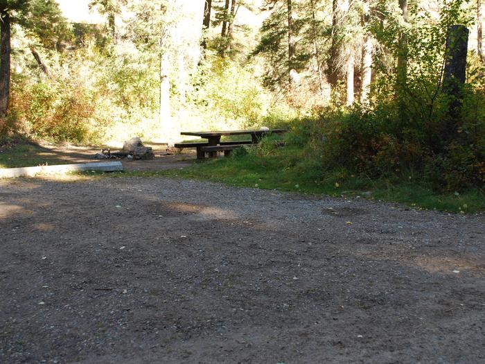 Site 18, campsite surrounded by pine trees, picnic table & fire ringSite 18
