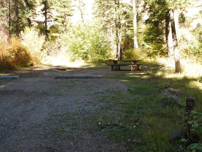 Site 19, campsite surrounded by pine trees, picnic table & fire ringSite 19