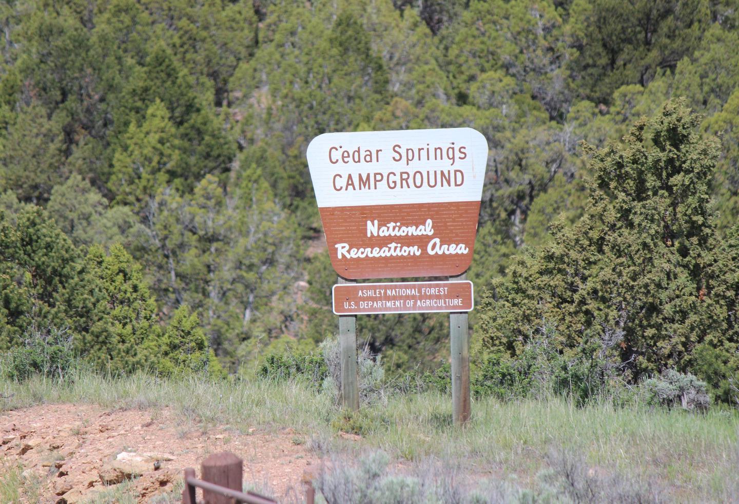 Cedar Springs Campground sign at the entrance of the campground.Cedar Springs Campground