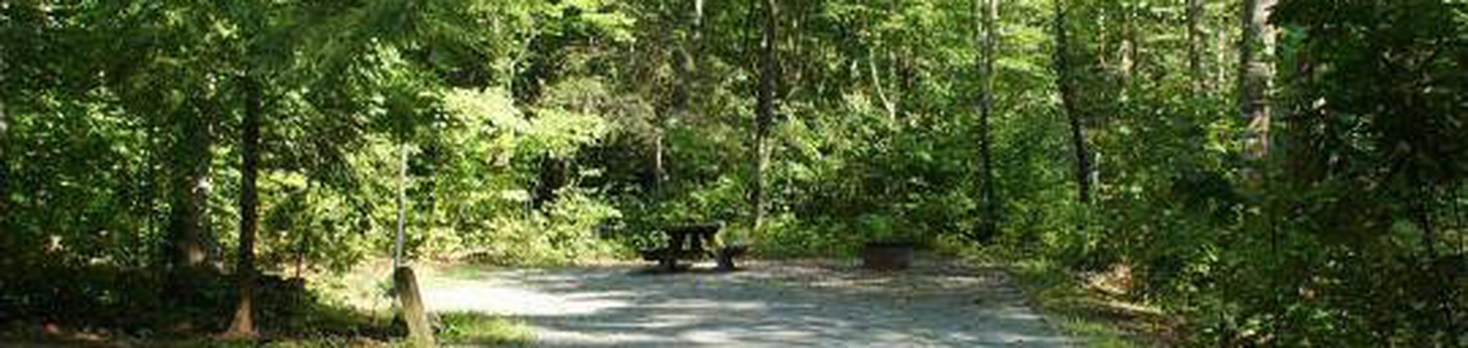 backbone rock campground reservations