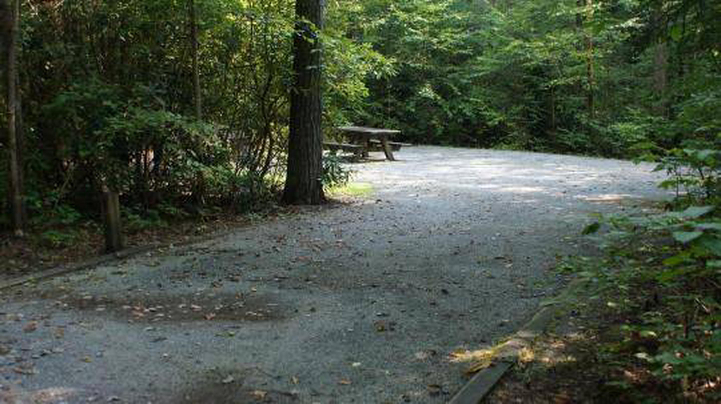 backbone rock campground reviews tent sites