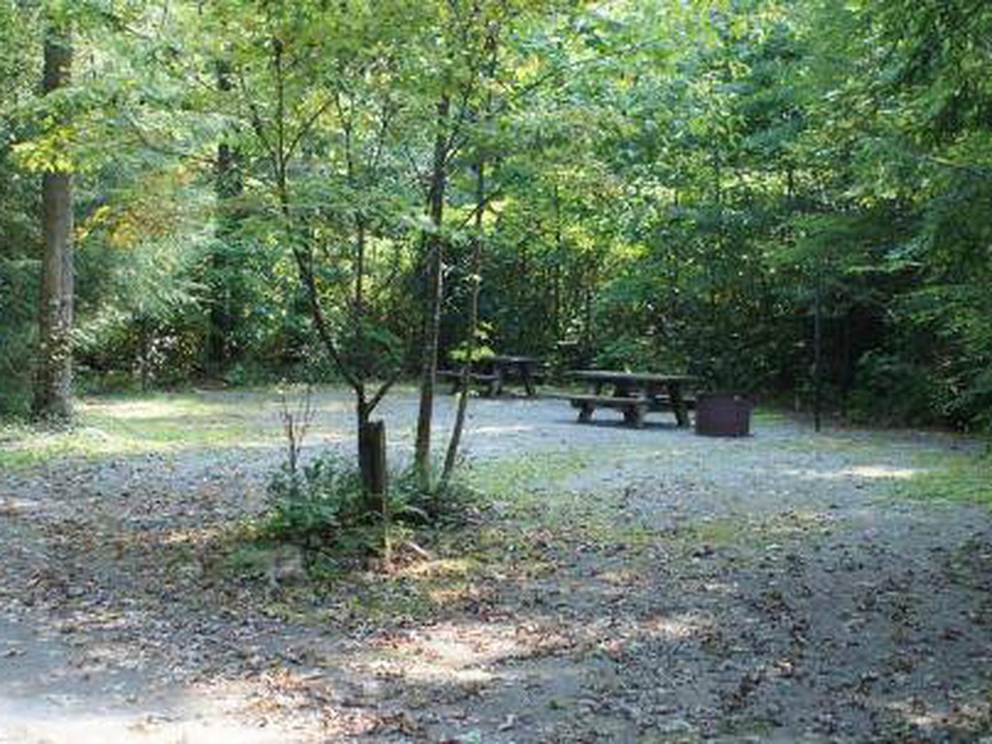 backbone rock campground