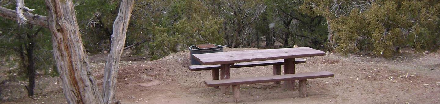 Picnic table and fire pit in a gravel area with trees surrounding the area. Deer Run Campground: Site 2