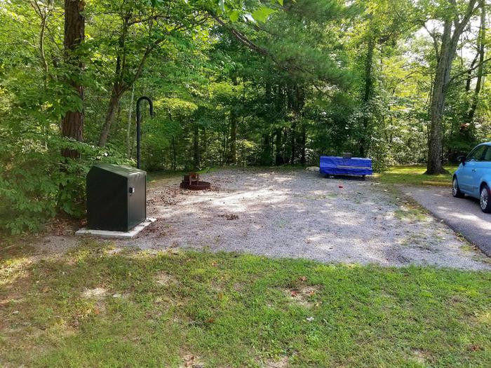 Green metal food storage locker sits next to treeline on a gravel tent padBlue Heron Campground Site 7