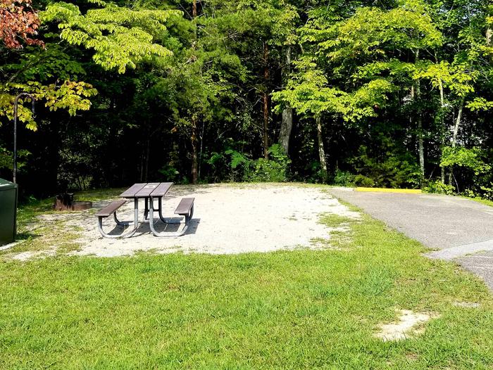 Picnic table sits on gravel tent pad next to paved parking spot in front of treeline.Blue Heron Campground Site 11