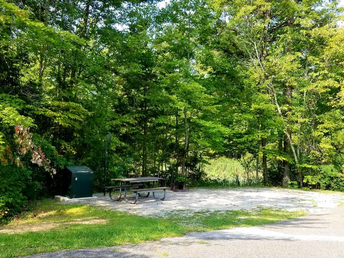 Gravel tent pad with picnic table sits next to woodline with a small pond in background.Blue Heron Campground Site 12