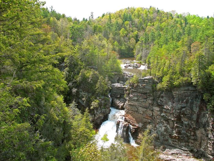 Linville Falls Campground, Newland, North Carolina | REI Camping Project