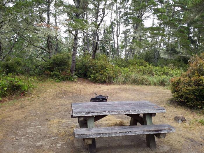 Picnic table, fire ring, and tent site next to coastal shrubs and trees.Waxmyrtle Campground