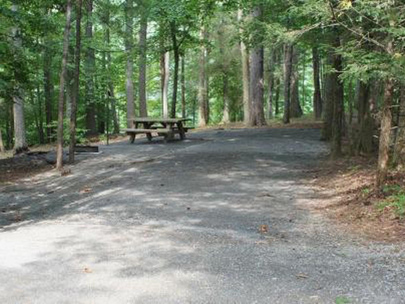 Site 025, Little Oak Campground - Recreation.gov